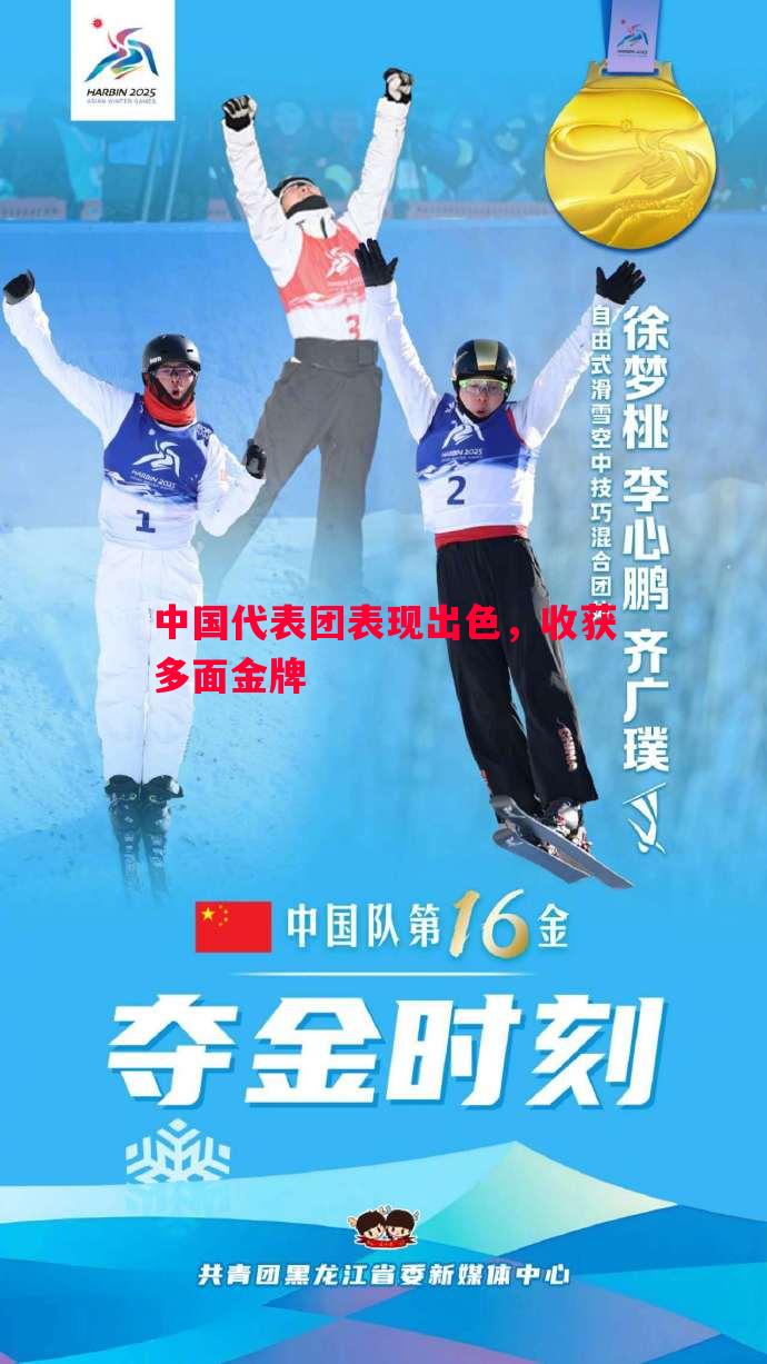 中国代表团表现出色,收获多面金牌 中国代表团表现出色,收获多面金牌